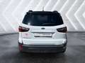 Ford EcoSport 1.0 EcoBoost ''Active'' Xenon AHK Rückfahrkamera N Weiß - thumbnail 5