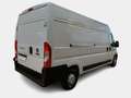 Fiat Ducato 33 LH2 2.3 Multijet 120CV E6D-temp FURGONE - thumbnail 4