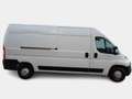Fiat Ducato 33 LH2 2.3 Multijet 120CV E6D-temp FURGONE - thumbnail 3