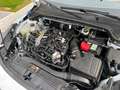 Ford Focus Focus Turnier 1,0 EcoBoost Hybrid ST-Line Design ST-Line Design Weiß - thumbnail 11