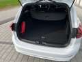 Ford Focus Focus Turnier 1,0 EcoBoost Hybrid ST-Line Design ST-Line Design Weiß - thumbnail 10
