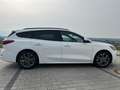 Ford Focus Focus Turnier 1,0 EcoBoost Hybrid ST-Line Design ST-Line Design Weiß - thumbnail 3