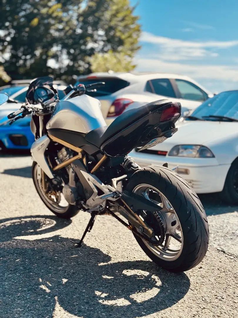 Kawasaki ER - 6 N Grijs - 1