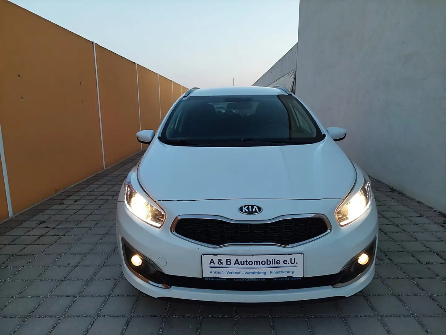 Kia Ceed SW / cee'd SW cee'd SW 1,6 CRDi Titan Finanzierung möglich Weiß - 1