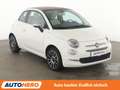 Fiat 500C 1.0 Mild-Hybrid Dolcevita*NAVI*PDC*KLIMA*TEMPO* Weiß - thumbnail 8