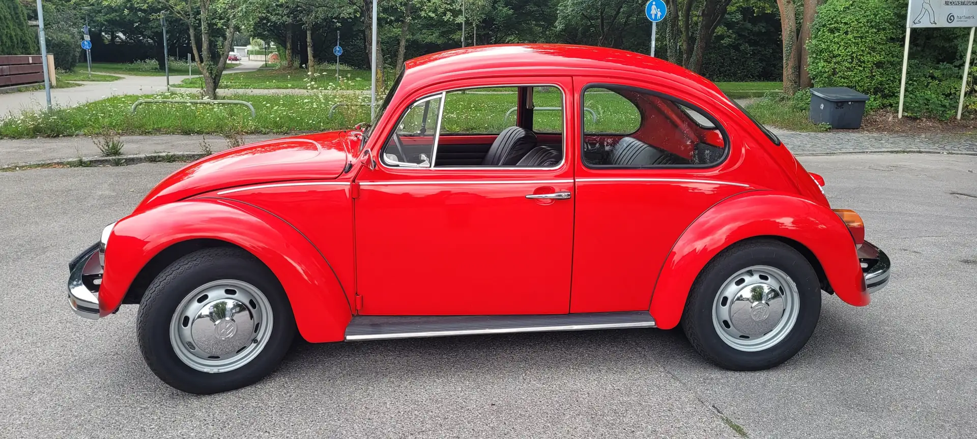 Volkswagen Käfer Rot - 1