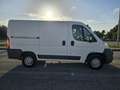 Fiat Ducato 33 2.3 MJT 130CV PC-TN Weiß - thumbnail 4