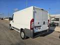 Fiat Ducato 33 2.3 MJT 130CV PC-TN Weiß - thumbnail 12
