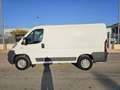 Fiat Ducato 33 2.3 MJT 130CV PC-TN Weiß - thumbnail 13