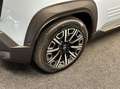 Renault R 4 comfort range iconic 52 kWh V2L CAMERA ADAPTIEF CR Blau - thumbnail 13