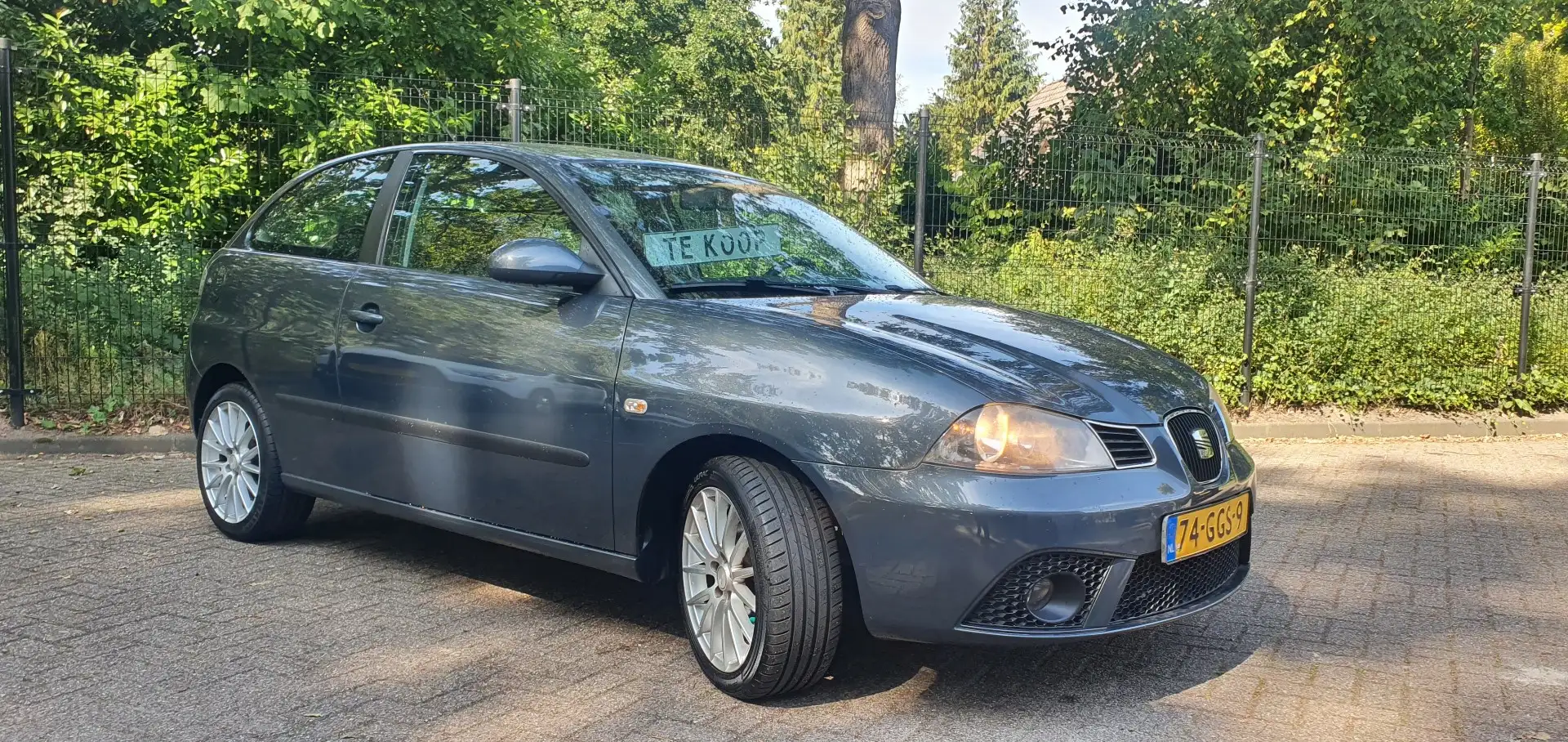 SEAT Ibiza 1.6-16V Freestyle Grijs - 1