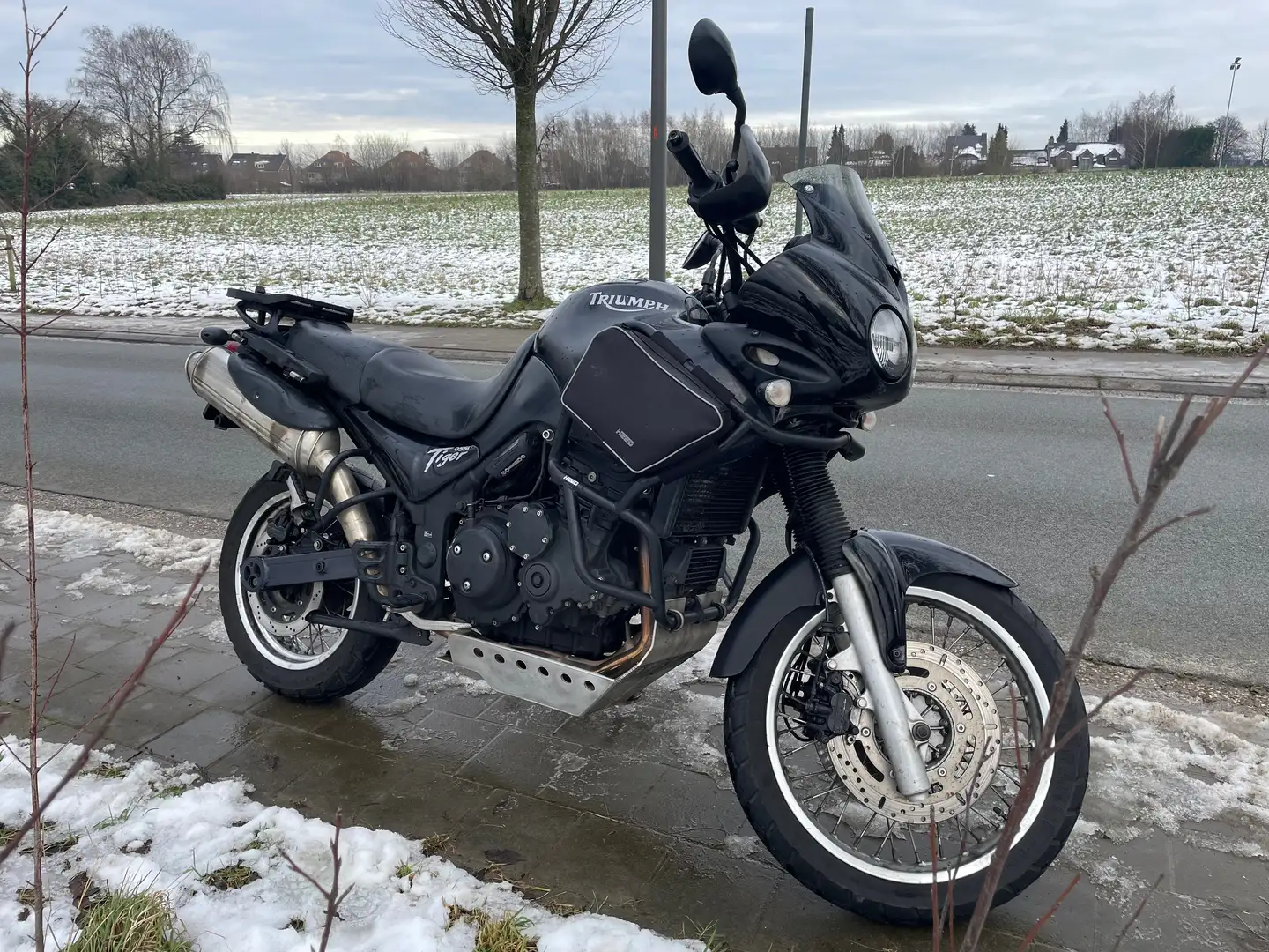 Triumph Tiger 955i Noir - 1