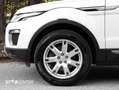 Land Rover Range Rover Evoque SE 2,0 TD4 Aut. Weiß - thumbnail 4