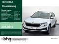 Skoda Karoq 2.0 TDI DSG Clever Blanc - thumbnail 1