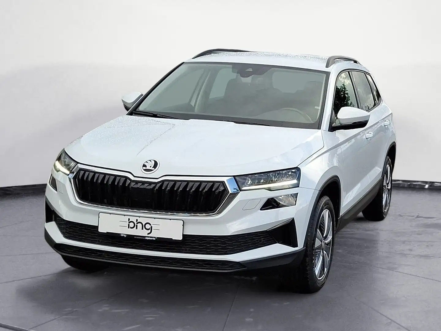Skoda Karoq 2.0 TDI SCR DSG Clever AHK Navi connect Km Weiß - 2