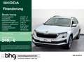 Skoda Karoq 2.0 TDI SCR DSG Clever AHK Navi connect Km Weiß - thumbnail 1