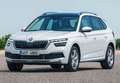 Skoda Kamiq 1.0 TSI Active 70kW Bleu - thumbnail 10