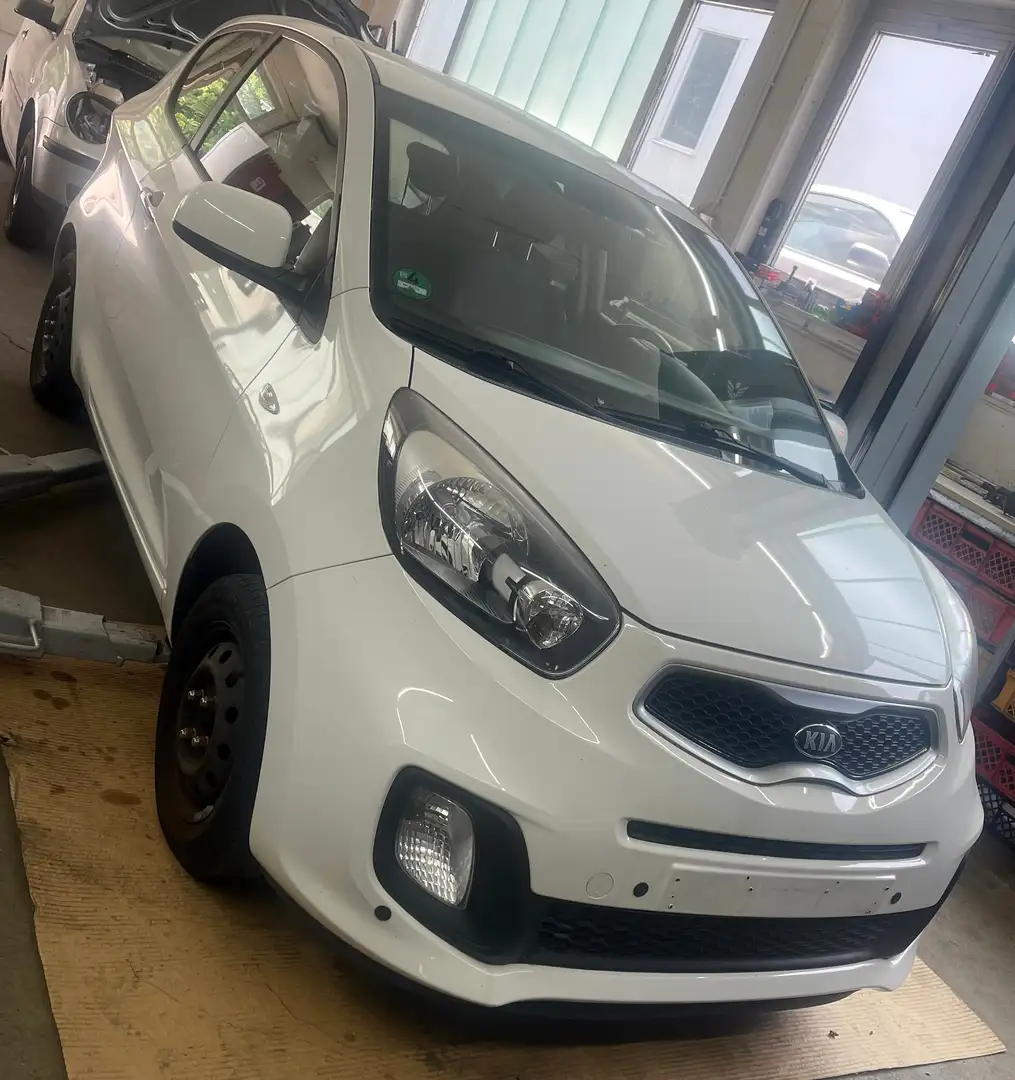Kia Picanto Edition 7 Blanc - 2