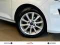 Ford Fiesta Fiesta VII 2017 5p 5p 1.5 tdci Vignale 85cv Bianco - thumbnail 5