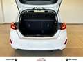 Ford Fiesta Fiesta VII 2017 5p 5p 1.5 tdci Vignale 85cv Bianco - thumbnail 14