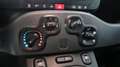 Fiat Panda Panda 1.0 FireFly S&S Hybrid Grigio - thumbnail 12