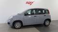 Fiat Panda Panda 1.0 FireFly S&S Hybrid Grigio - thumbnail 13