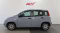 Fiat Panda Panda 1.0 FireFly S&S Hybrid Grigio - thumbnail 3