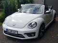 Volkswagen Beetle The Beetle Cabriolet The Cabriolet 1.2 TSI DSG (Bl Weiß - thumbnail 2