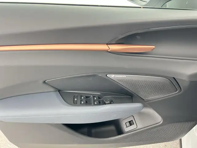 Cupra Terramar view 11