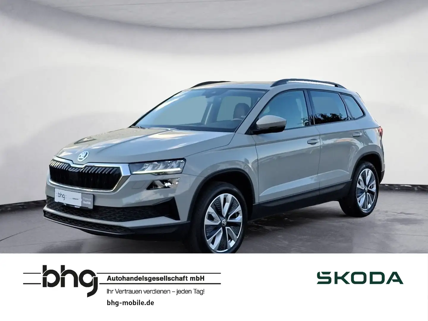 Skoda Karoq 2.0 TDI SCR 4x4 DSG Style Navi connect Kes Grau - 1