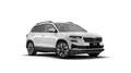 Skoda Karoq Tour 2,0 TDI 110 kW DSG / AHK / Standheiz. Weiß - thumbnail 2