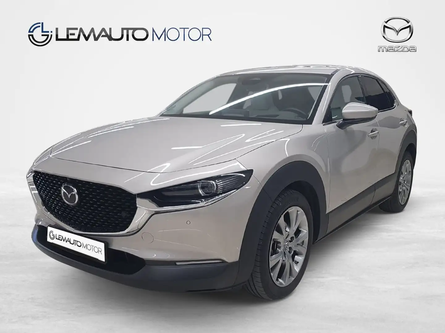 Mazda CX-30 e-SKY X MHEV 137kW AT AWD Excl-line Plus Gris - 1