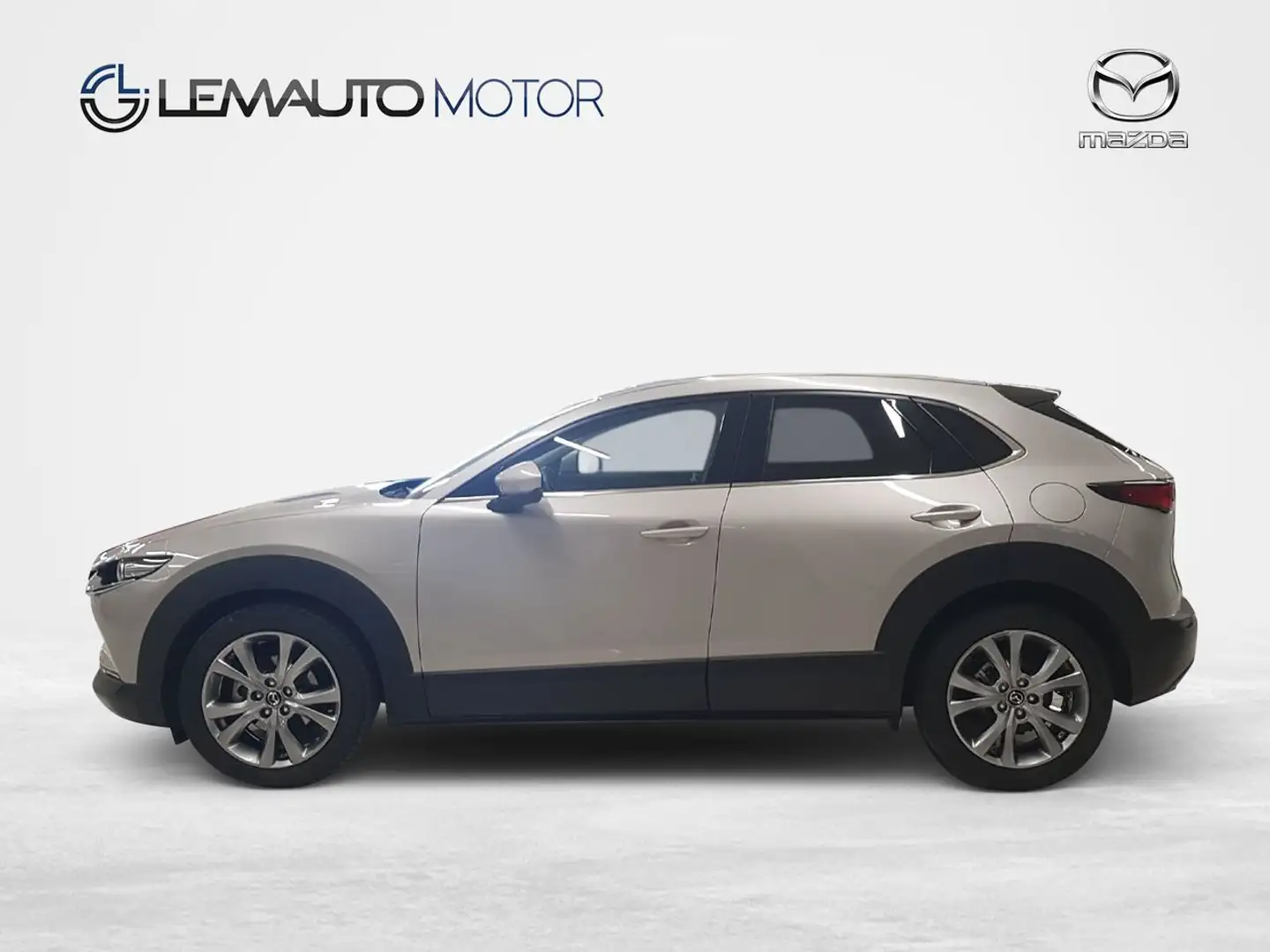 Mazda CX-30 e-SKY X MHEV 137kW AT AWD Excl-line Plus Gris - 2