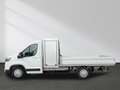 Maxus Deliver 9 eDeliver 9 Pritsche L3 65kWh LED Klimaanlage Белый - thumbnail 3