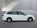Volkswagen Golf Variant Life mHeV DSG Weiß - thumbnail 6