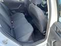 Volkswagen Polo 5p 1.6 tdi Comfortline 80cv Bianco - thumbnail 14