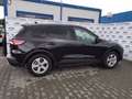 Ford Kuga 2.5 Plug In Hybrid 225 CV CVT 2WD Connect Nero - thumbnail 12