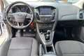 Ford Focus 1.5TDCi Trend+ 120 Beige - thumbnail 11