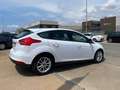 Ford Focus 1.5TDCi Trend+ 120 Beige - thumbnail 7