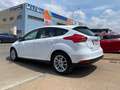Ford Focus 1.5TDCi Trend+ 120 Beige - thumbnail 6