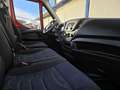 Iveco Daily 35S12 cassone fisso Rosso - thumbnail 6