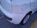 Fiat Punto Evo 5p 1.3 mjt  75  CV Active Weiß - thumbnail 8