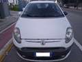 Fiat Punto Evo 5p 1.3 mjt  75  CV Active Weiß - thumbnail 1