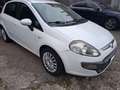 Fiat Punto Evo Punto III 2009 Evo 5p 1.3 mjt Active s Blanc - thumbnail 2