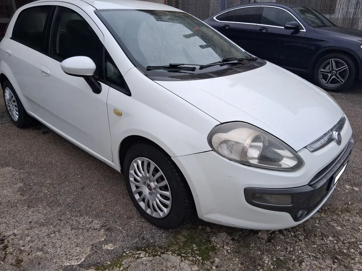 Fiat Punto Evo 5p 1.3 mjt Active s Bianco - 2