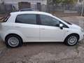 Fiat Punto Evo Punto III 2009 Evo 5p 1.3 mjt Active s Blanc - thumbnail 3