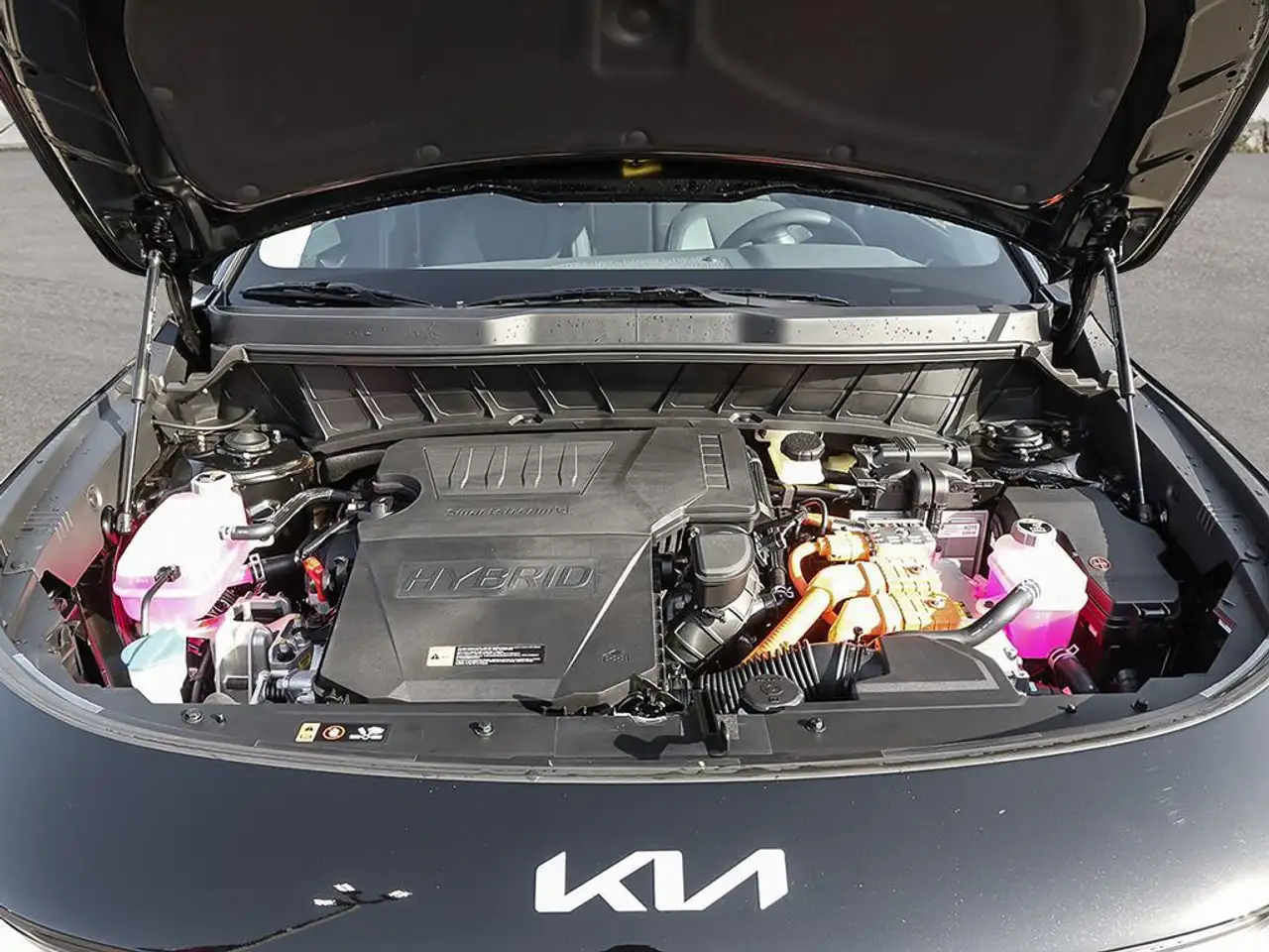 Kia Niro photo Kia Niro