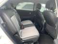 Hyundai IONIQ 5 Techniq-Paket/Assistenz-Paket/LED Bianco - thumbnail 13