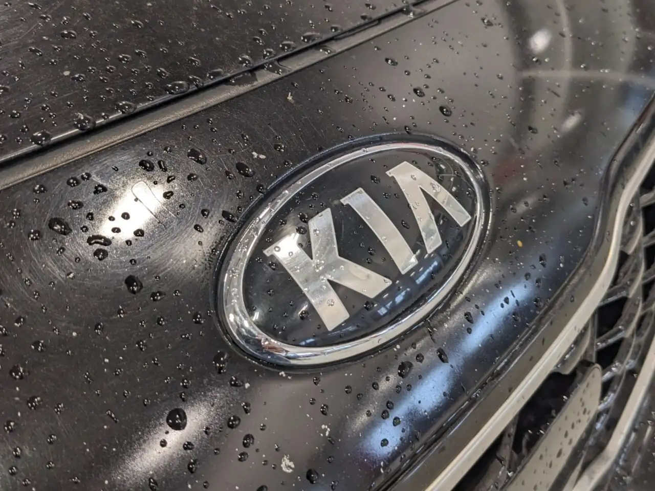Kia Sportage photo Kia Sportage