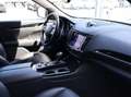 Maserati Levante 3.0 V6 Diesel 275 CV Bianco - thumbnail 9